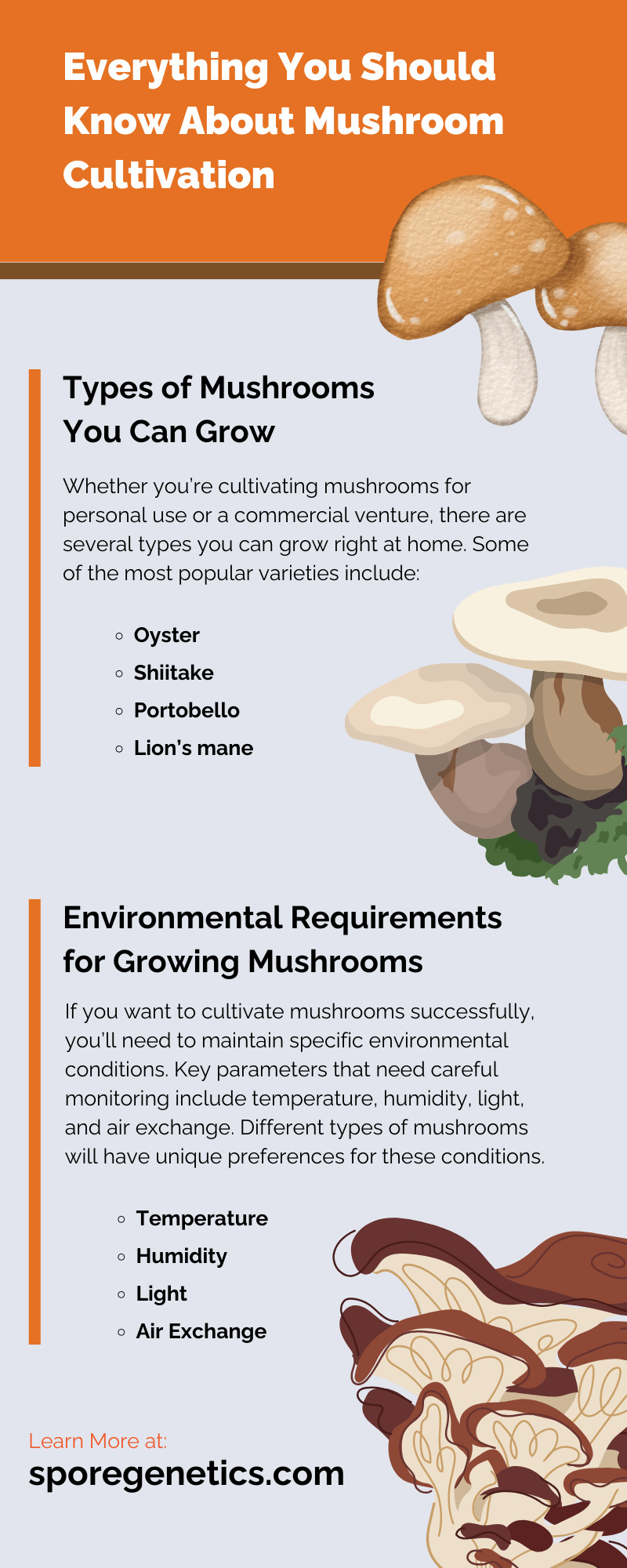 Everything You Should Know About Mushroom Cultivation