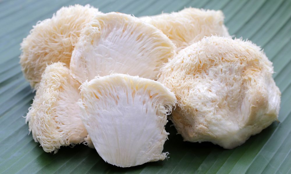 What To Know About Lion’s Mane Mushrooms