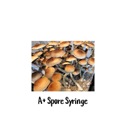 A+ 10cc Spore Syringe - SS45