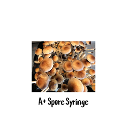 A+ 10cc Spore Syringe - SS45