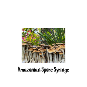 Amazonian 10cc Spore Syringe