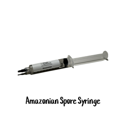 Amazonian 10cc Spore Syringe - SS03