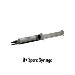 B+ 10cc Spore Syringe - SS02