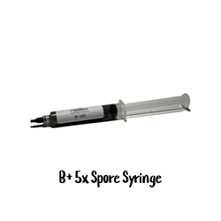 B+ 5x Concetrated 10cc Spore Syringe - SS39