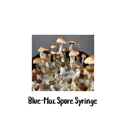 Blue-Mac 10cc Spore Syringe - SS51