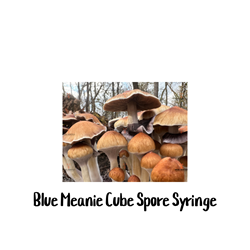 Blue Meanie Cube 10cc Spore Syringe - SS10