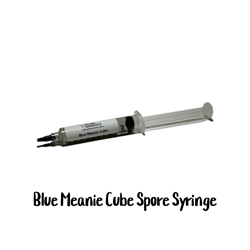 Blue Meanie Cube 10cc Spore Syringe - SS10