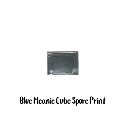 Blue Meanie Cube Spore Print - SP02