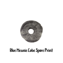 Blue Meanie Cube Spore Print - SP02