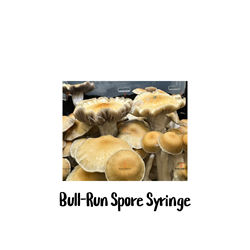 Bull-Run 10cc Spore Syringe - SS42