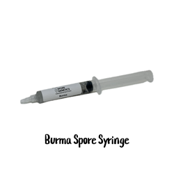 Burma 10cc Spore Syringe - SS50