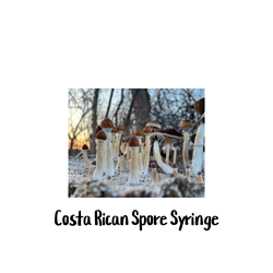 Costa Rican 10cc Spore Syringe - SS25