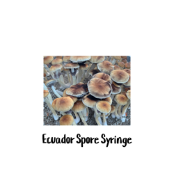 Ecuador 10cc Spore Syringe - SS27