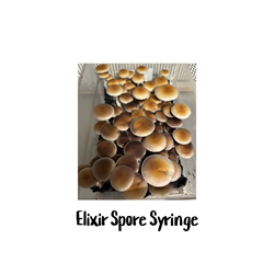 Elixir 10cc Spore Syringe - SS35