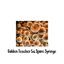 Golden Teacher 5x Concetrated 10cc Spore Syringe - SS44