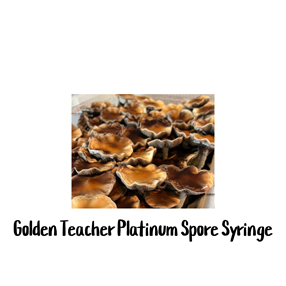 Golden Teacher Platinum 10cc Spore Syringe
