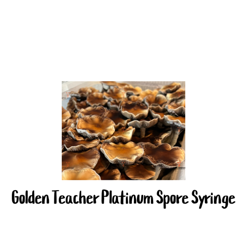 Golden Teacher Platinum 10cc Spore Syringe