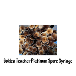 Golden Teacher Platinum 10cc Spore Syringe - SS14