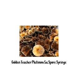 Golden Teacher Platinum 5x Concetrated 10cc Spore Syringe 