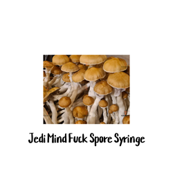 Jedi Mind Fuck 10cc Spore Syringe - SS32