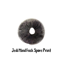 Jedi Mind Fuck Spore Print Jedi Mind Fuck Spore Print