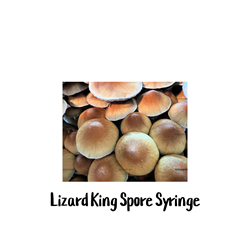 Lizard King 10cc Spore Syringe - SS22