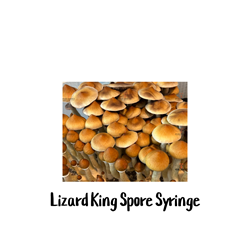 Lizard King 10cc Spore Syringe - SS22