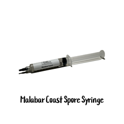 Malabar Coast 10cc Spore Syringe - SS26