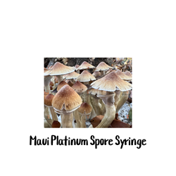 Maui Platinum (PES Hawaiian) 10cc Spore Syringe Maui Platinum, spore syringe, mushroom research, organic spores, easy to use, Pacific Exotica Spora, PES Hawaiian, cubensis variety, resistance to contamination, robust mycelium growth, tear caps, white ring, novices, experienced growers
