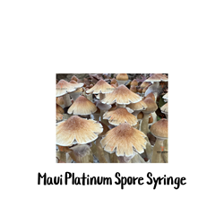 Maui Platinum (PES Hawaiian) 10cc Spore Syringe - SS13