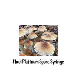 Maui Platinum (PES Hawaiian) 10cc Spore Syringe - SS13