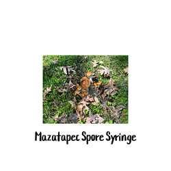 Mazatapec 10cc Spore Syringe - SS09