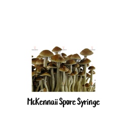 McKennaii 10cc Spore Syringe - SS19