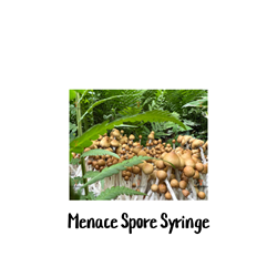 Menace 10cc Spore Syringe - SS05