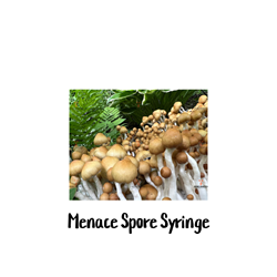 Menace 10cc Spore Syringe - SS05