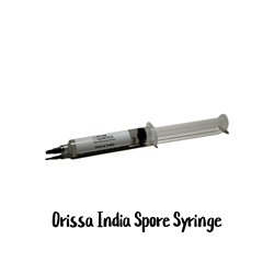 Orissa India 10cc Spore Syringe - SS29
