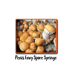 Penis Envy 10cc Spore Syringe - SS49