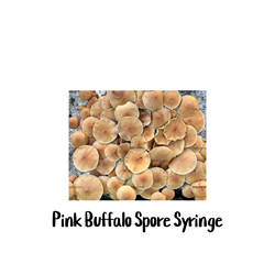 Pink Buffalo 10cc Spore Syringe - SS31