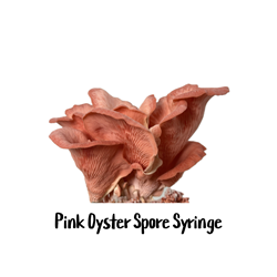 Pink Oyster 10cc Spore Syringe 