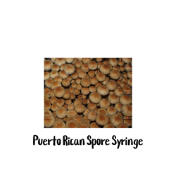 Puerto Rican 10cc Spore Syringe spore, syringe, Puerto, Rican, cubensis,10cc, magic, psilocybin, psychedelic, culture, South, American, mushroom, island, nature, tree, casing