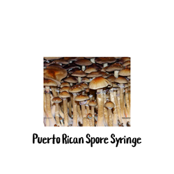 Puerto Rican 10cc Spore Syringe - SS23