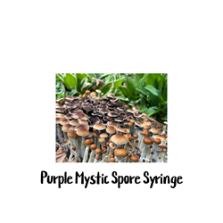 Purple Mystic 10cc Spore Syringe - SS04