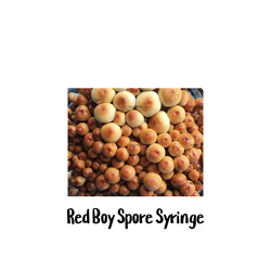 Red Boy 10cc Spore Syringe - SS30