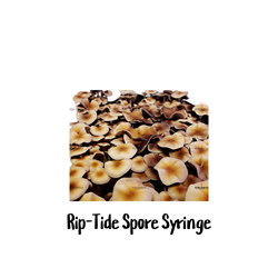 Rip-Tide 10cc Spore Syringe - SS47