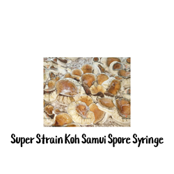 Super Strain Koh Samui (SSKS) 10cc Spore Syringe - SS17