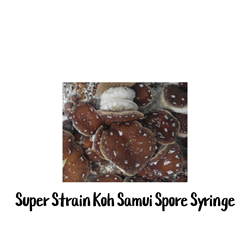 Super Strain Koh Samui (SSKS) 10cc Spore Syringe - SS17