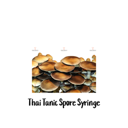 Thai Tanic (Thai Lipa Yai) 10cc Spore Syringe - SS21