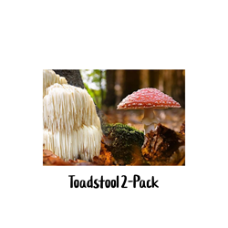 Toadstool 2-Pack 10cc Liquid Culture Syringes liquid, culture, lions, mane, amanita, muscaria, fly, agaric, spores, shop, bundle, save, quality, premium, 
