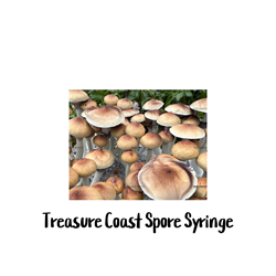 Treasure Coast 10cc Spore Syringe - SS28