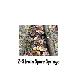 Z-Strain 10cc Spore Syringe - SS08
